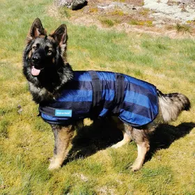 Meilleurs prix pour Manteau pour chien rafraîchissant Back on Track