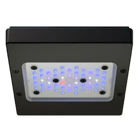 Meilleurs prix pour Ecotech Marine Radion Xr15 G6 Bleu
