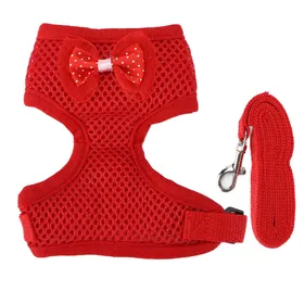 Meilleurs prix pour Harnais et Laisse pour Poulet Gilet Respirant Confortable pour Poules Coqs Animaux de Compagnie red