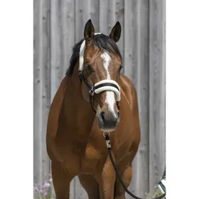 Comparer les prix de Licol pour cheval en mouton synthétique Riding World