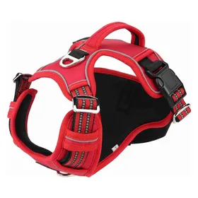 Comparer les prix de Barry King Szelki dla psa, czerwone, materiał Oxford, L, ob.szyi 43-60cm/ob.klatki 47-86cm (L, Chien), Collier + laisse