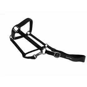 Comparer les prix de Licol cuir avec insert "crystal" pour cheval Cavaletti Tara