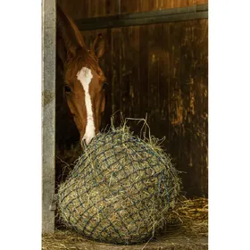 Comparer les prix de HIPPOTONIC Filet foin Zari
