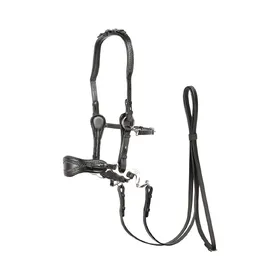Comparer les prix de Bridons équitation Edix Saddles ED4- Jazz