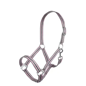 Comparer les prix de Licol pour cheval nylon HKM Linz