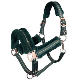 Comparer les prix de Licol pour cheval York Lira - green - Vert - Cob