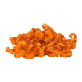 Meilleurs prix pour 100 Pièces Anneaux de Patte de Volailles Boucle de Jambe d'Identification avec Numéros pour Poulet Canard Orange