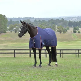 Meilleurs prix pour Weatherbeeta Comfitec Essential Turnout 0g - Taille 85 - Bleu