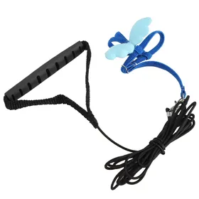 Meilleurs prix pour Harnais et Laisse Mignon pour Oiseau de Compagnie Extérieur Perroquets Entraînement au Vol Sangles en Corde RéglablesRose S S(for 2-4kg) bleu