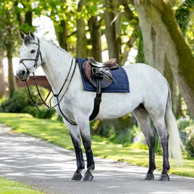 Comparer les prix de Tapis de selle pour cheval LeMieux Pillow
