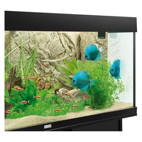 Comparer les prix de Juwel Décor de fond Cliff Light