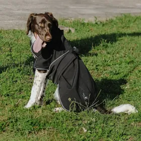 Comparer les prix de Couverture pour chien Equithème Softshell