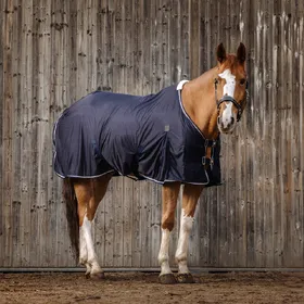 Meilleurs prix pour Chemise séchante pour cheval Equithème