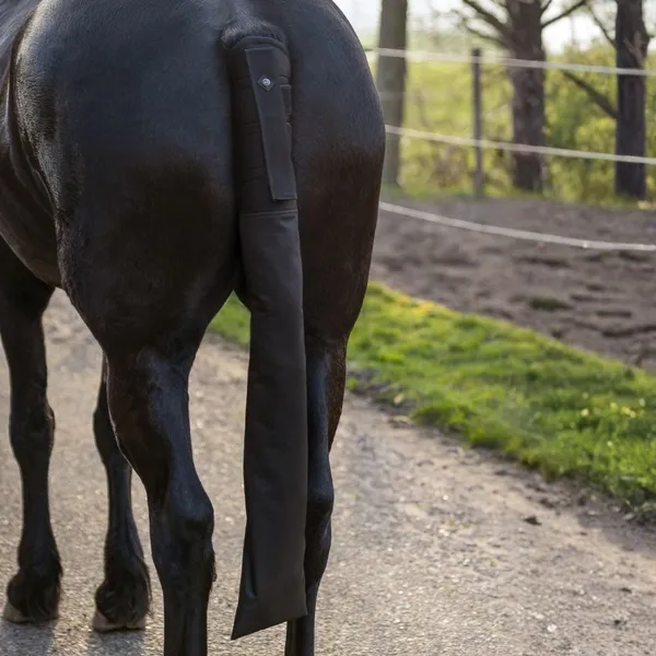 Protège-queue avec sac pour cheval QHP – photo 3