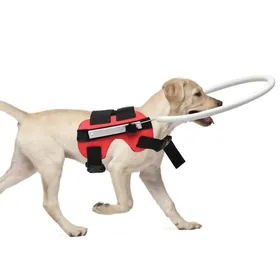 Comparer les prix de FYDUN Anneau anti‑collision pour chien aveugle Dispositif de Guidage de Harnais pour Chien animalerie produits MYFZ02 rouge S