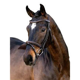 Meilleurs prix pour Bridon équitation muserolle combinée LeMieux Arika