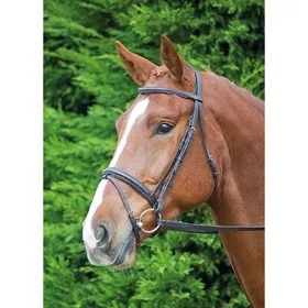 Comparer les prix de Bride équitation Velociti Gara Comfort Fit