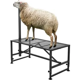Meilleurs prix pour VEVOR Support pour chèvres et moutons, 1195x584 mm, support pour bétail, hauteur réglable 533-838 mm, support en métal pour traite tonte du bétail, charge 226 kg, avec têtière et boucle de nez, noir