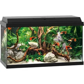 Comparer les prix de Aquarium Juwel Primo 60 LED