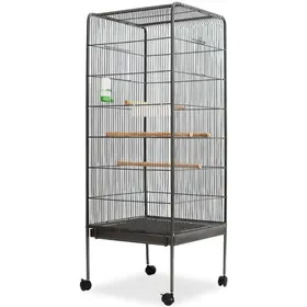 Comparer les prix de HOME MARKET - Cage à oiseaux Noir 54 x 54 x 146 cm Acier(2706)