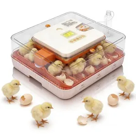 Meilleurs prix pour Couveuse Oeuf Automatique 56 Oeufs - Retournement Auto Contrôle Température & Affichage Humidité - Maxi Capacité Professionnelle