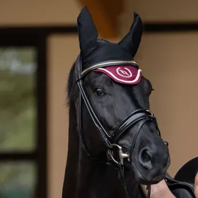 Meilleurs prix pour BACK ON TRACK Bonnet Night Collection pour cheval - Plusieurs coloris disponibles