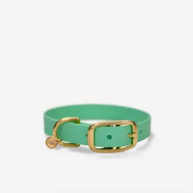 Comparer les prix de Collier pour Chien Ultra Premium Direct x Fidèle Paris - Édition limitée