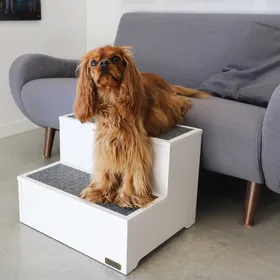 Meilleurs prix pour Escalier pour chien Stooly Zolia Orthopedic