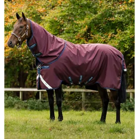 Meilleurs prix pour Couverture d'extérieur pour cheval Horseware Amigo 1200D Plus 250g