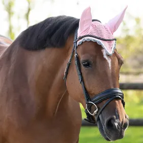 Comparer les prix de Bonnet pour cheval QHP Color