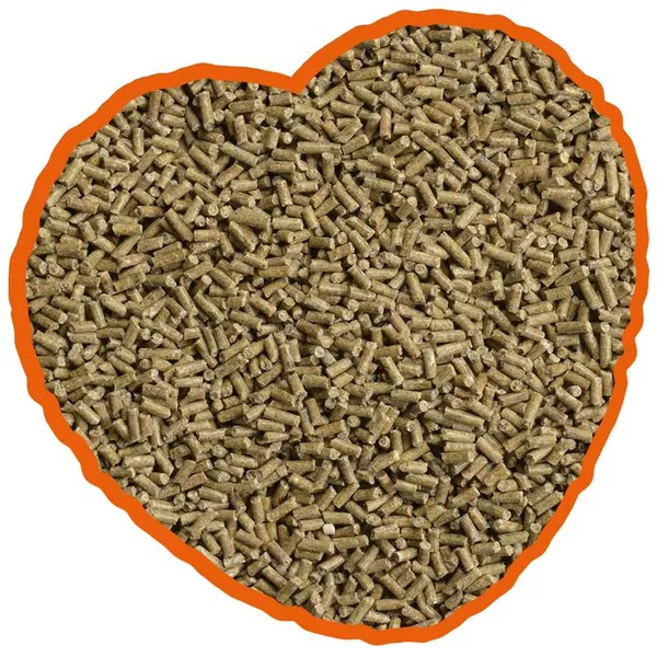 Complément alimentaire pour ponte granulé Duvoplus – photo 2