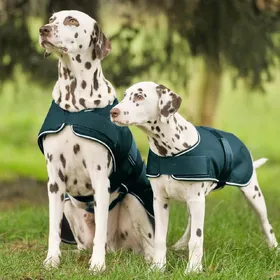 Comparer les prix de Waldhausen Couverture de pluie pour chien - Taille 35