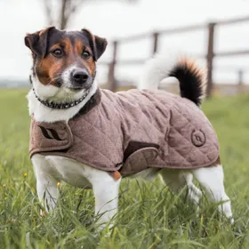 Meilleurs prix pour Manteau chien Back on Track haze collection 25