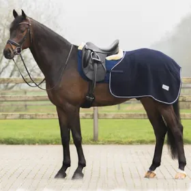 Meilleurs prix pour Couverture marcheur pour cheval en laine QHP Quarter