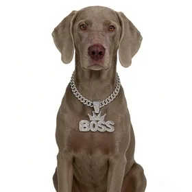 Comparer les prix de Chaîne pour chien dorée Pendentif de luxe Collier pour chien Marche Métal Avec boucle design Collier pour animal de compagnie Accessoires de bijouterie Pour chiens moyens et grands 12inch(30cm)