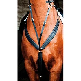 Comparer les prix de T·De·T - Collier De Chasse Biotack Noir Pur-Sang