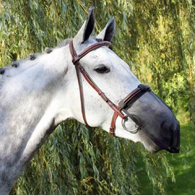 Comparer les prix de QHP Protection nasale contre les mouches
