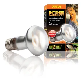 Comparer les prix de Exo Terra - Ampoule Intense Basking Spot - 75W