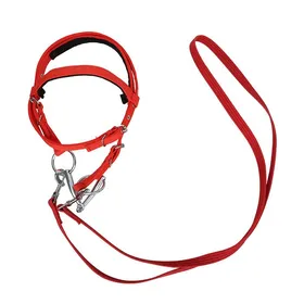 Meilleurs prix pour Accessoires de couvre-chef déquitation - Phoesky - Nylon - Bridon - Rênes deau - Taille ajustable - Confortable