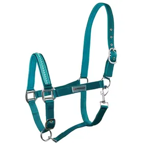 Meilleurs prix pour Licol pour cheval en nylon Horsenjoy Glitter - turquoise - Bleu - Full