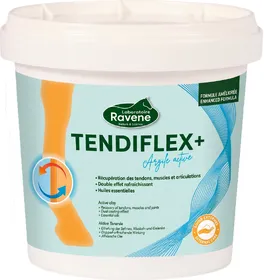 Meilleurs prix pour RAVENE Tendiflex+ Argile - Lot de 2x 4kg