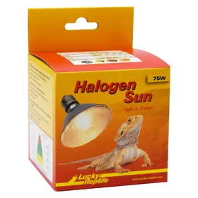 Meilleurs prix pour Lucky Reptile Halogène Sun 75W, Éclairage pour terrarium