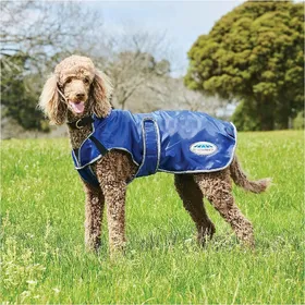 Meilleurs prix pour Manteau pour chien Weatherbeeta ComFiTec Windbreaker Free Deluxe