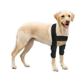 Meilleurs prix pour Coudière pour chien - Coussinets de protection pour coude et épaules canins - Hygrome du coude et de dysplasie, arthrose,
