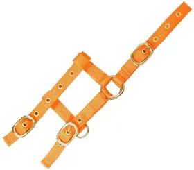 Comparer les prix de Licol nylon réglable "Mini" - mini foal
