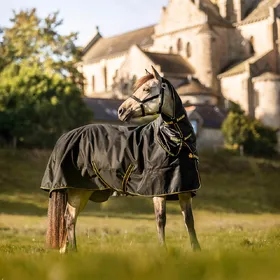 Comparer les prix de Bucas Irish Turnout Light 50g Classic 1200D - Poney - Noir/ Or - Taille 115