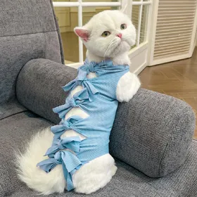 Meilleurs prix pour Combinaison de récupération pour chaton, Combinaison chirurgicale pour chat, Protecteur de plaie abdominale, Cône anti-léchage, Alternative au collier E pour chats mâles et femelles S (1-3kg) bleu