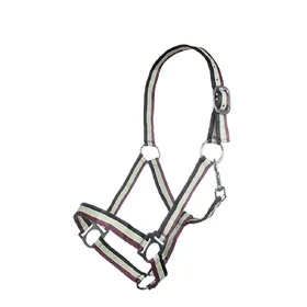 Comparer les prix de Licol pour cheval HKM Genf