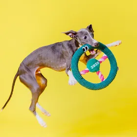 Comparer les prix de ZEZE - Jouet pour Chien, Volant à Mâcher avec Effets Sonores en Caoutchouc Vert Foncé - 23x23x3,5 cm