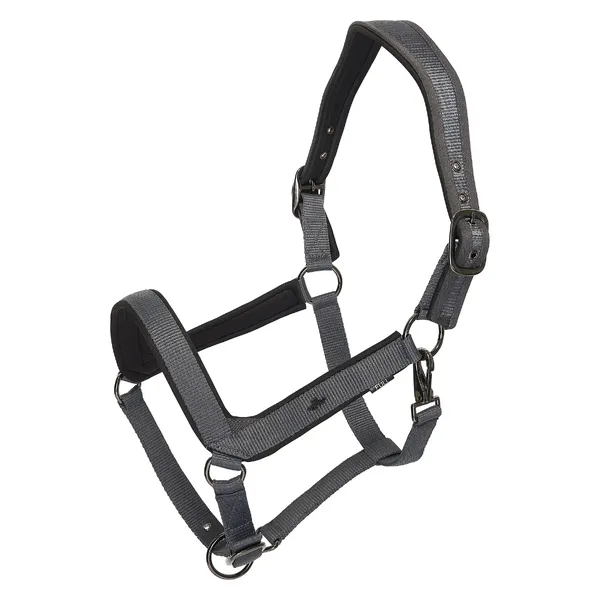 Licol pour cheval HV Polo Essential – photo 3
